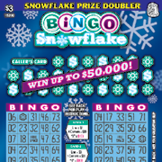 $3 Bingo Snowflake - 15390