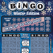 $3 Bingo Winter Edition - 15376