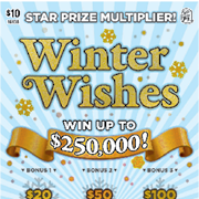 $10 Winter Wishes - 16138